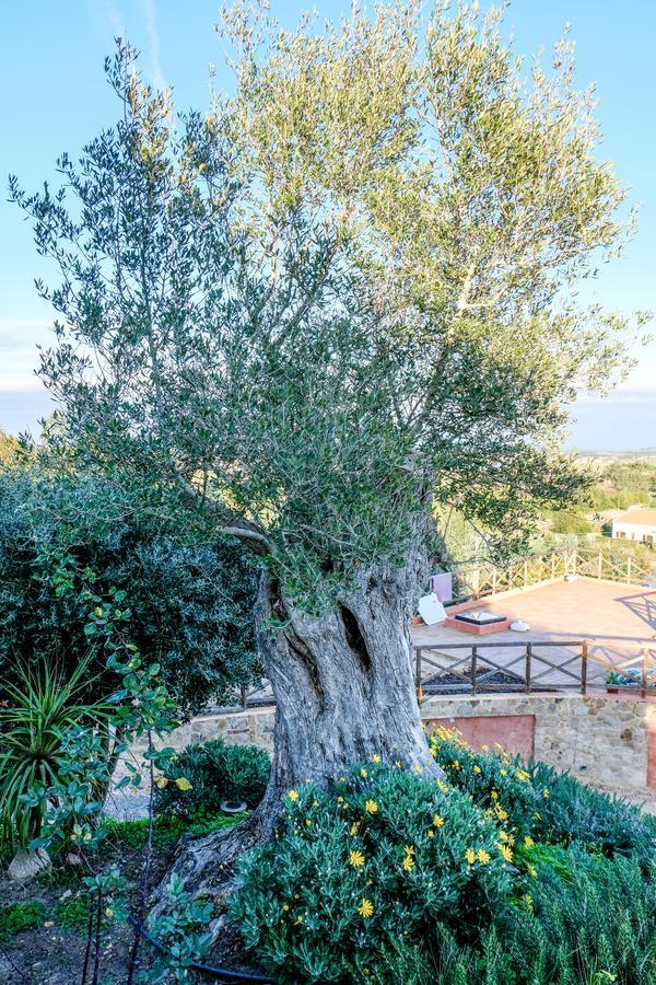 Monte Soalheiro Vendégház Zambujeira do Mar Kültér fotó