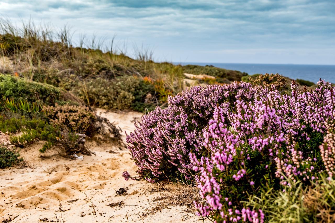 Monte Soalheiro Vendégház Zambujeira do Mar Kültér fotó